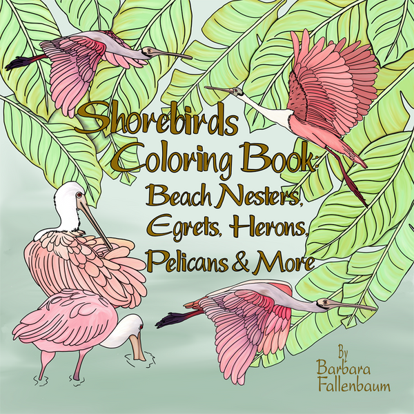 Shorebirds Coloring Book: Beach Nesters, Egrets, Herons, Pelicans & More