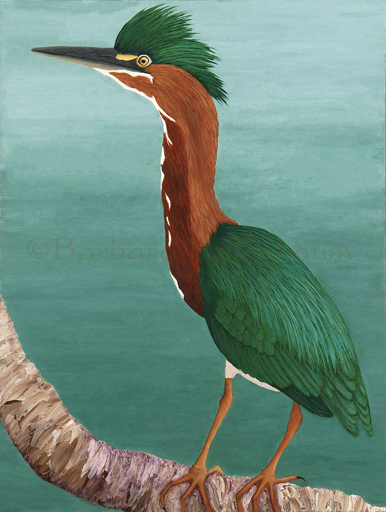 Painting of a Green Heron standing guard for his family.